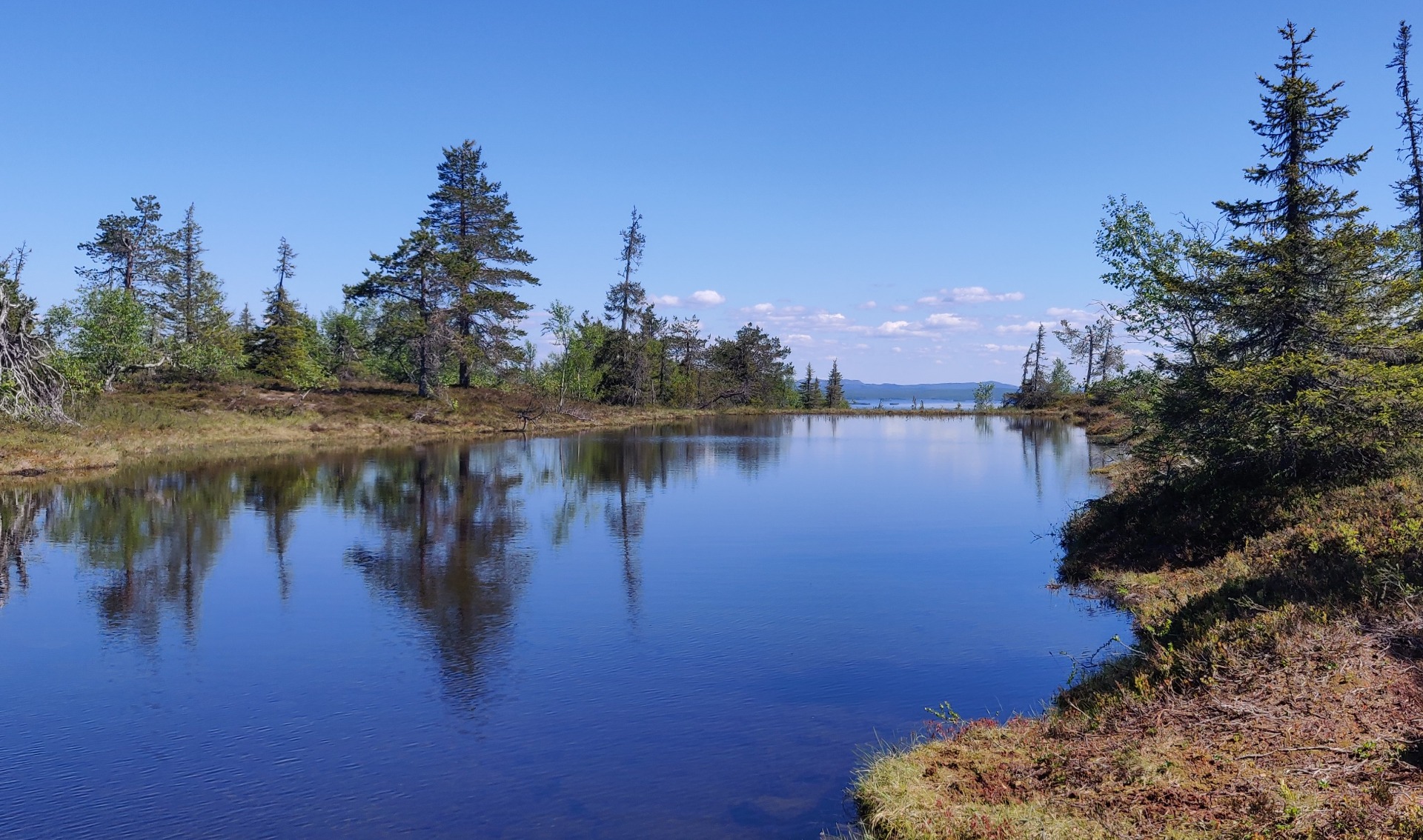 Riisitunturin Ikkunalampi